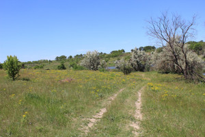 Степь,Украина,Таврия