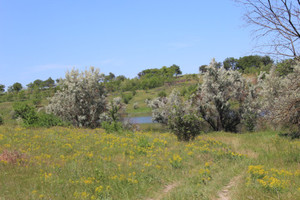 Степь,Украина,Таврия