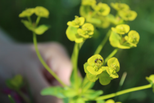 Степь,Украина,Таврия