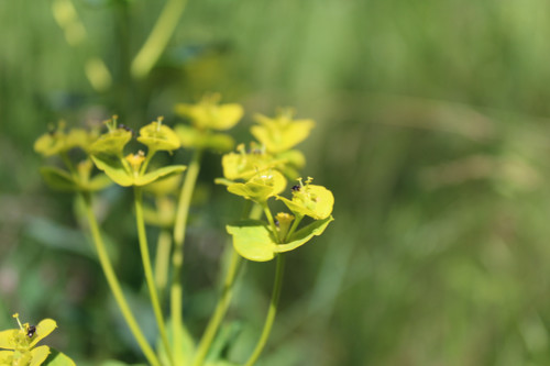 Степь,Украина,Таврия