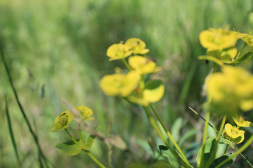 Степь,Украина,Таврия