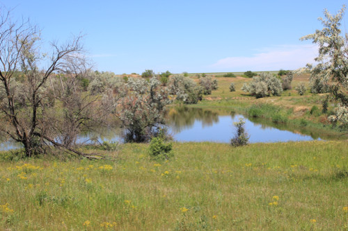 Степь,Украина,Таврия